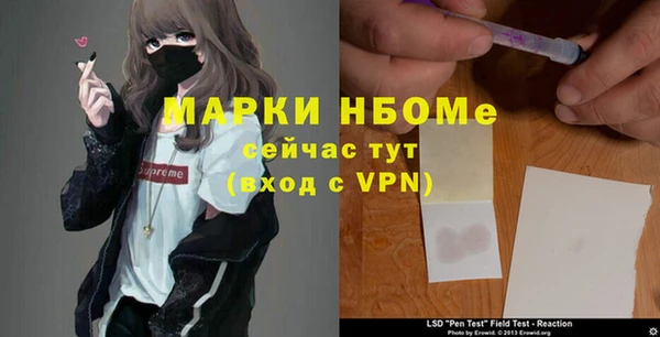 крисы Ельня