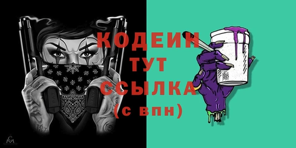 крисы Ельня