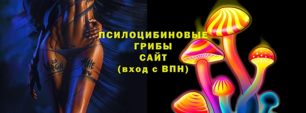 крисы Ельня