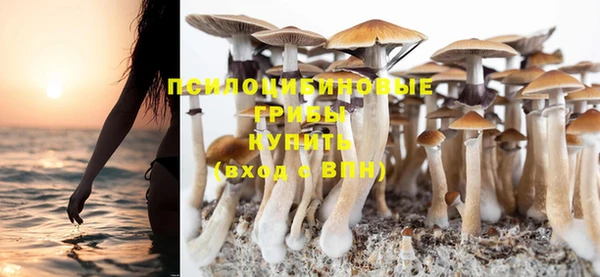 мет Заводоуковск