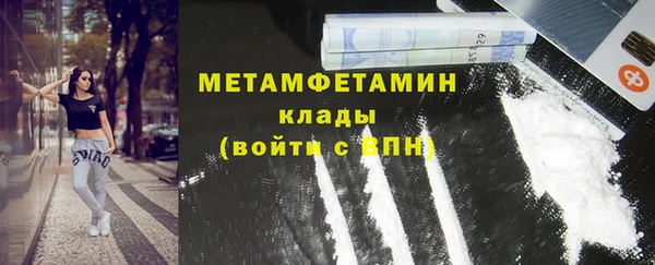 крисы Ельня