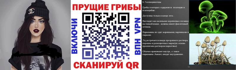 Псилоцибиновые грибы Magic Shrooms  цена   Братск 